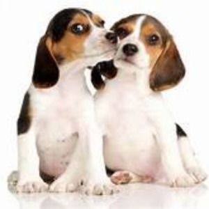 Meet your Posher, Marie